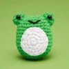Henri The Frog Beginner Crochet Kit 2 Henri The Frog Beginner Crochet Kit -Toyology Toys 11FG Frog FW YGT1 WEB 1024x1024 2x 1