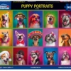 Puppy Portraits - 500pc Puzzle