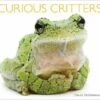 Curious Critters