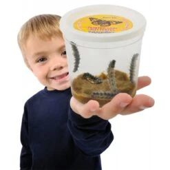 Live Butterfly Garden 10 Live Butterfly Garden -Toyology Toys 8e89ae3ff2ddc2408c6599f9e4569872