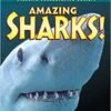 Amazing Sharks! (L2)
