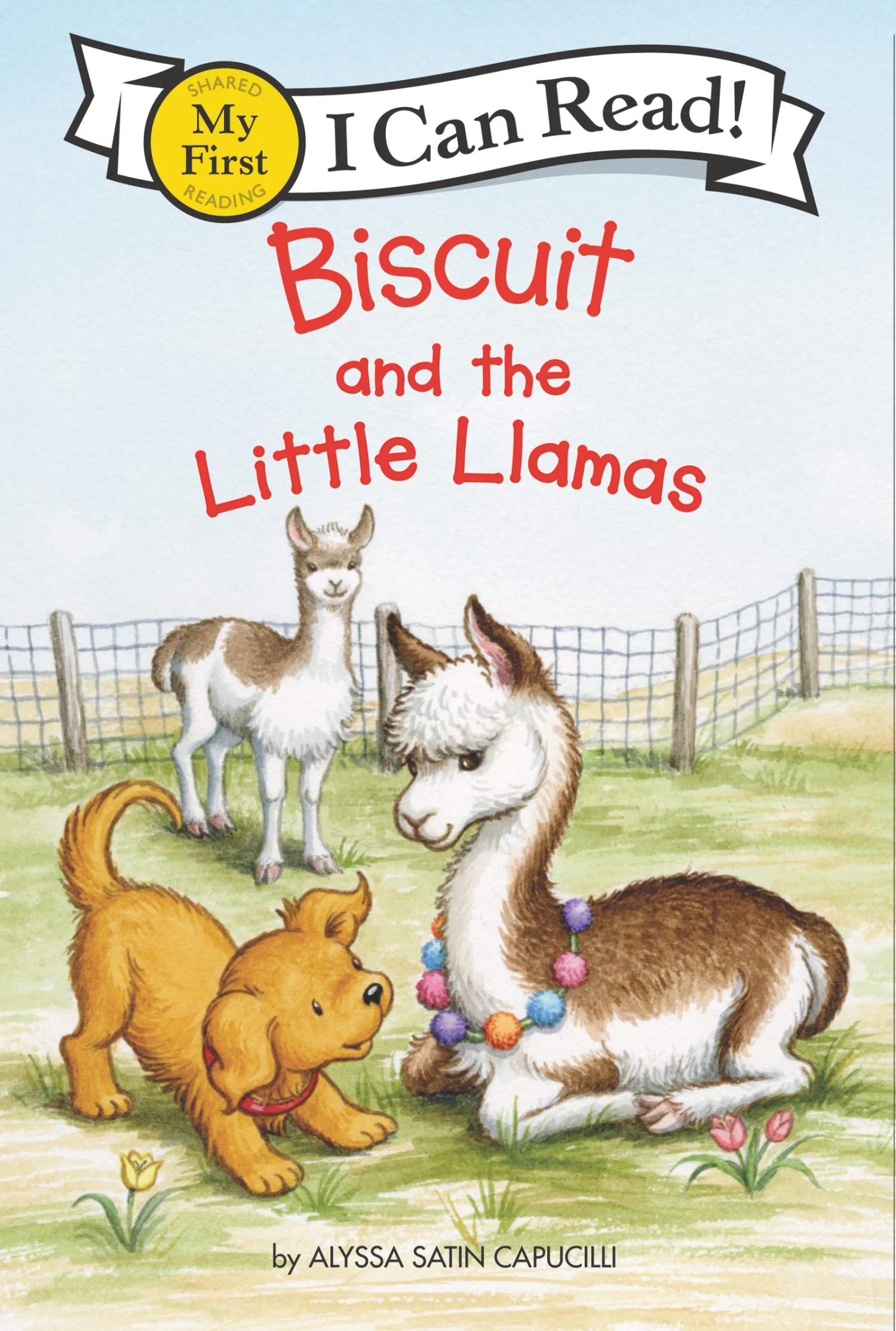 Biscuit and the Little Llamas (Lfirst) Biscuit And The Little Llamas (Lfirst) -Toyology Toys Biscuit and the Little Llamas Lfirst ToyologyToys 636