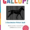 Gallop -Toyology Toys Gallop ToyologyToys 318