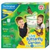 Live Butterfly Garden 1 Live Butterfly Garden -Toyology Toys Live Butterfly Garden ToyologyToys 241