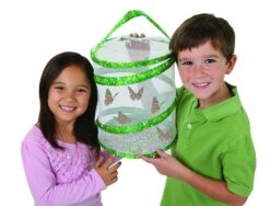 Live Butterfly Garden 3 Live Butterfly Garden -Toyology Toys Live Butterfly Garden ToyologyToys 278