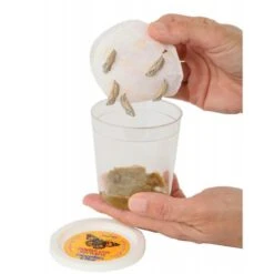 Live Butterfly Garden 6 Live Butterfly Garden -Toyology Toys Live Butterfly Garden ToyologyToys 37