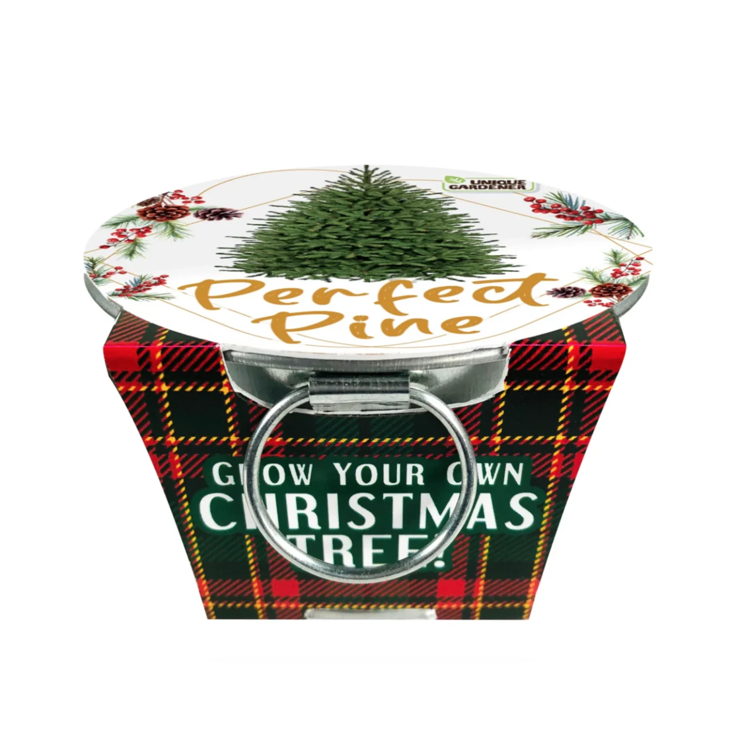 Perfect Pine - Grow your Own Christmas Tree Perfect Pine - Grow Your Own Christmas Tree -Toyology Toys PerfectPine GrowyourOwnChristmasTree toyologytoys jpg