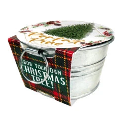 Perfect Pine - Grow Your Own Christmas Tree 5 Perfect Pine - Grow Your Own Christmas Tree -Toyology Toys PerfectPine GrowyourOwnChristmasTree3 toyologytoys webp