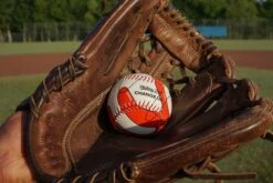 Pitching Pal 12 Pitching Pal -Toyology Toys PitchingPal DSC01672