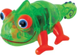 Neil - Crawling Gecko