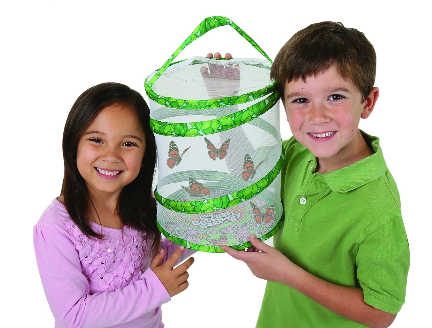 Live Butterfly Garden Live Butterfly Garden -Toyology Toys ef5fb2f27c840b1241e0a2fb1372d903