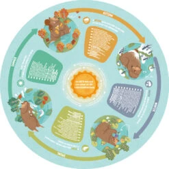 Four Seasons - 16pc Puzzle -Toyology Toys hapee1636 1