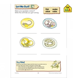 First Grade Scholar -Toyology Toys sjnj1mkqdndkuzzis7hd