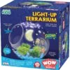 Wow In The World: Light-Up Terrarium