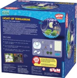 Wow In The World: Light-Up Terrarium -Toyology Toys tgtg ho24 545003 4