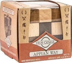 True Genius Wood And Metal Brainteaser Puzzles -Toyology Toys tgtg ho24 tg1012 8