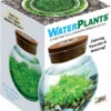 Water Plants - Create Your Own Aquascape