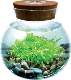 Water Plants - Create Your Own Aquascape 4 Water Plants - Create Your Own Aquascape -Toyology Toys tgtg su25 lgwp292 2