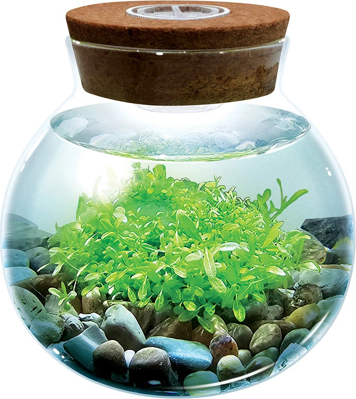 Water Plants - Create Your Own Aquascape Water Plants - Create Your Own Aquascape -Toyology Toys tgtg su25 lgwp292 2