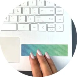 ZenStrips - Bumpy Feel Gradient Colors -Toyology Toys tpgitpg854 3