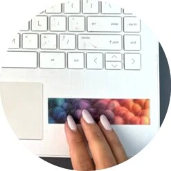 ZenStrips - Sandy Feel Gradient Colors -Toyology Toys tpgitpg855 3